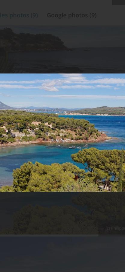 Charmant Studio Dans Villa - Jardin Privatif . Ла-Сейн-сюр-Мер Экстерьер фото